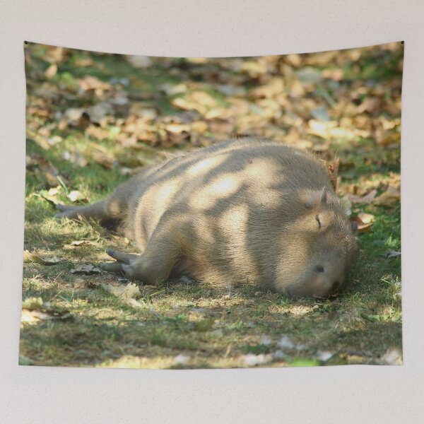 Item preview, Cute Napping Capybara in the Summer Sun designed and sold by walkswithnature.