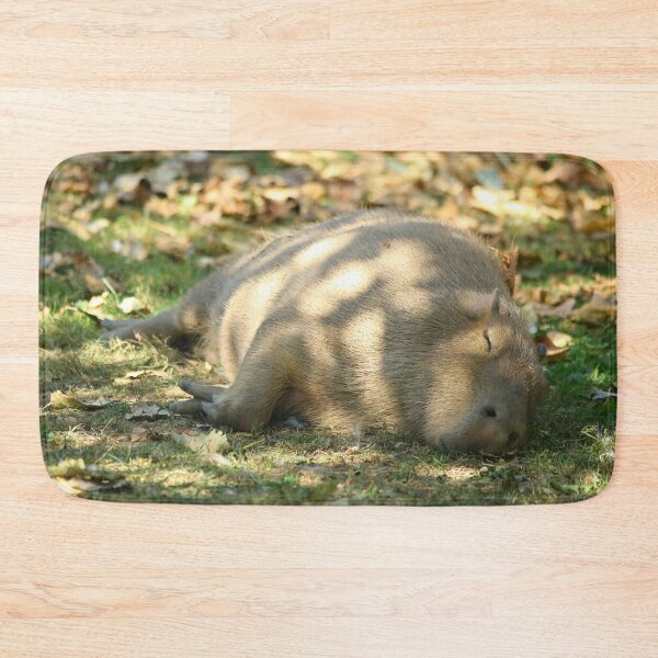 Item preview, Cute Napping Capybara in the Summer Sun designed and sold by walkswithnature.