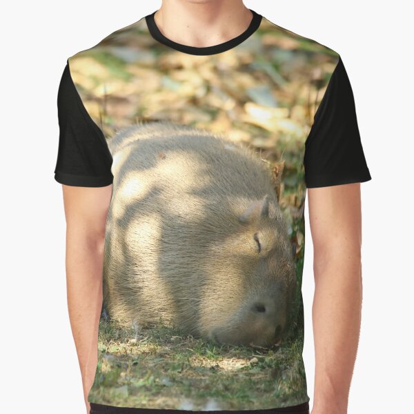 Camiseta Capivara Meme Fofo Latinoamerica Unissex