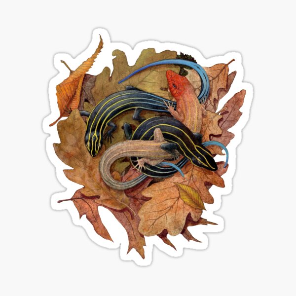 Item preview, Three Lined Skink designed and sold by Antilogist.
