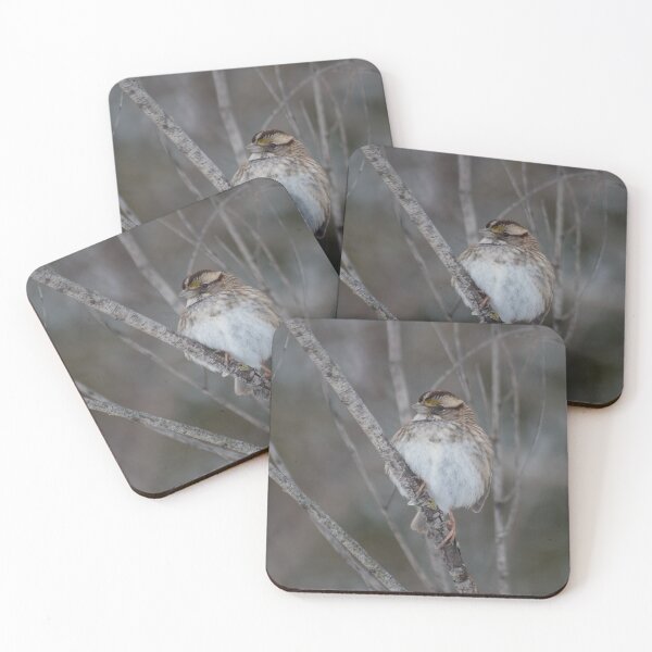 Item preview, White-Throated Sparrow designed and sold by Jacquelie.