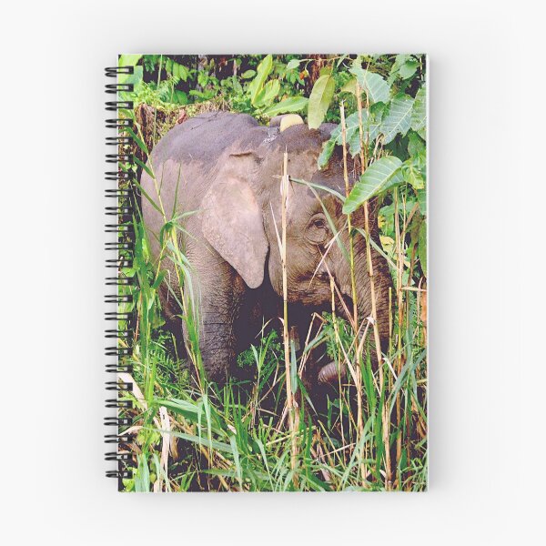 Item preview, Malaysian Pygmy Elephant calf designed and sold by Photography  by Mathilde.
