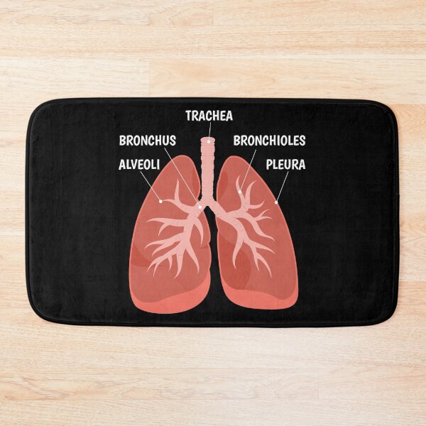 Item preview, Biology Teacher Anatomical Chart Respiratory System graphic designed and sold by jakehughes2015.