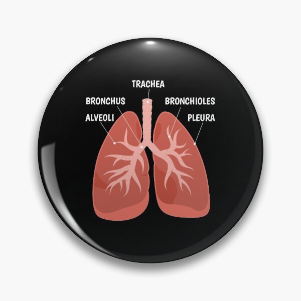 Item preview, Biology Teacher Anatomical Chart Respiratory System graphic designed and sold by jakehughes2015.