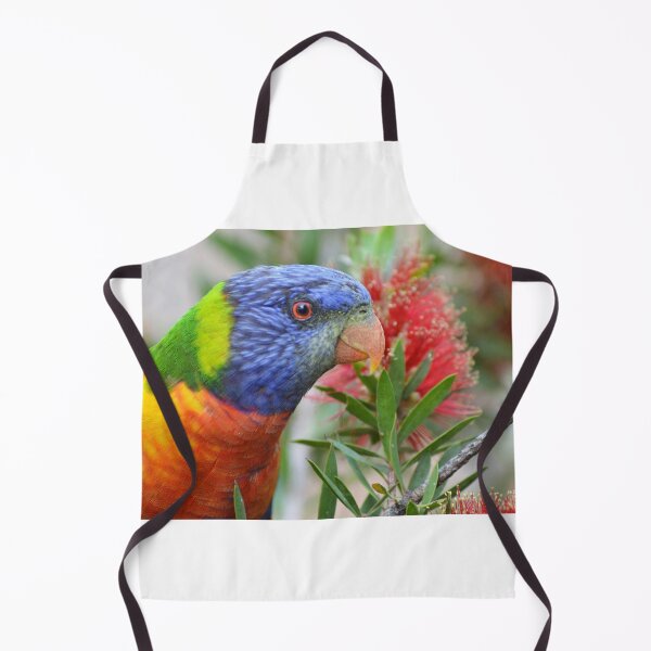 Item preview, Lorikeet arcoiris designed and sold by TheaShutterbug.