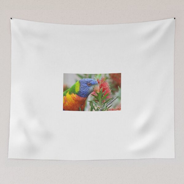 Item preview, Rainbow Lorikeet designed and sold by TheaShutterbug.