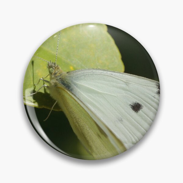 Item preview, Butterfly designed and sold by D-GaP.