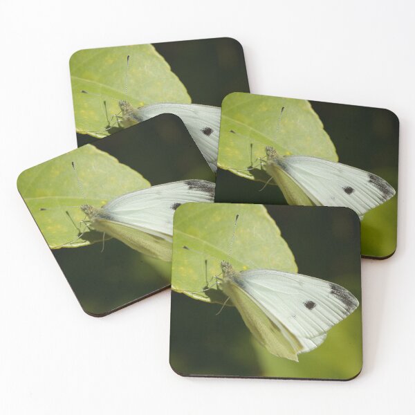 Item preview, Butterfly designed and sold by D-GaP.