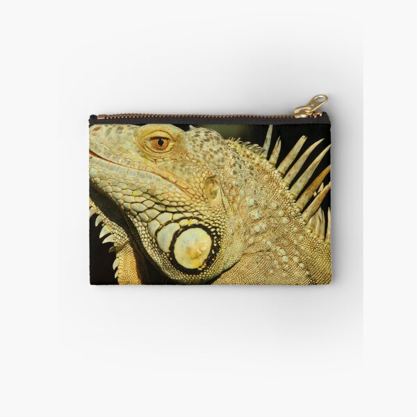 Item preview, Closeup of a Green Iguana designed and sold by walkswithnature.