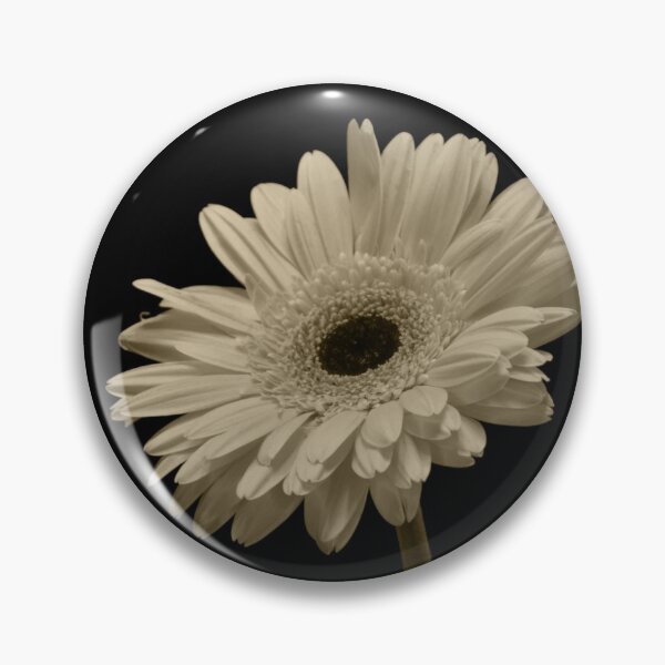 Item preview, Gerber Daisy, Sepia designed and sold by Microwhites.