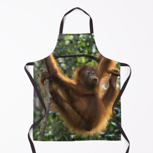 Item preview, Orangutan Hanging designed and sold by deemakai.