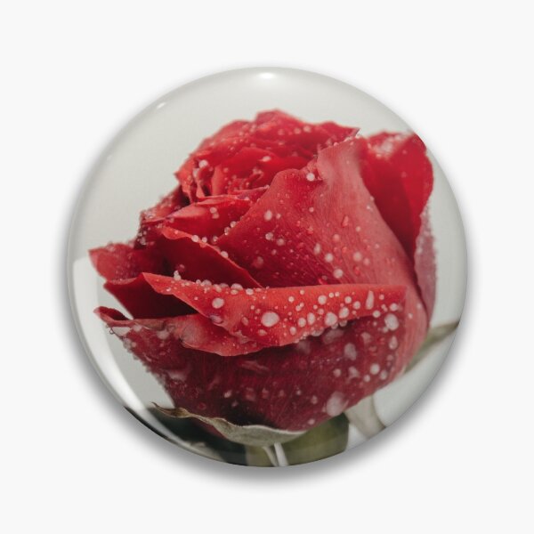Item preview, Winter Snow Icy Rose designed and sold by JLPhotographer.