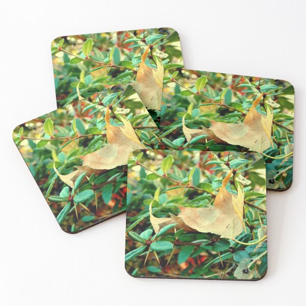 Item preview, Leaves and Thorns designed and sold by branaghbel.