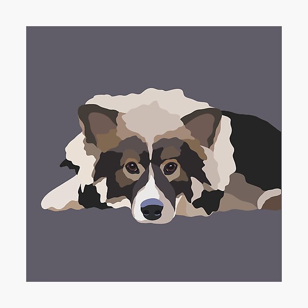 Artikelvorschau, Lappie Hundeportrait digitale Illustration entworfen und verkauft von sherylwylie.