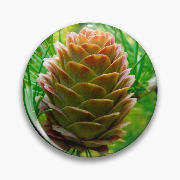 Item preview, Pine Cone designed and sold by Shulie1.