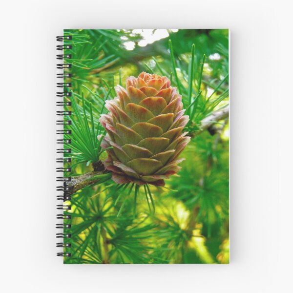 Item preview, Pine Cone designed and sold by Shulie1.