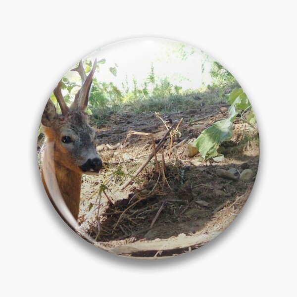 Item preview, Tuscan Deer Fawn Behind a Tree in Tuscany Italy designed and sold by CasaDiLavanda.