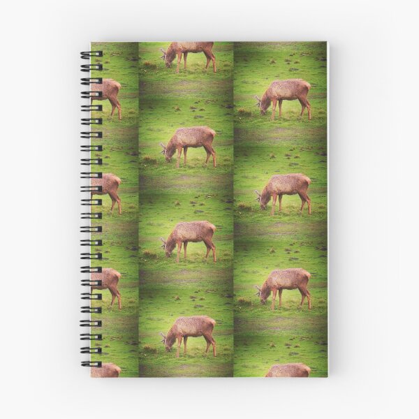 Item preview, Grazing deer designed and sold by Jonesyinc.