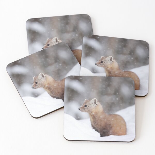 Item preview, American Marten designed and sold by mlorenz.