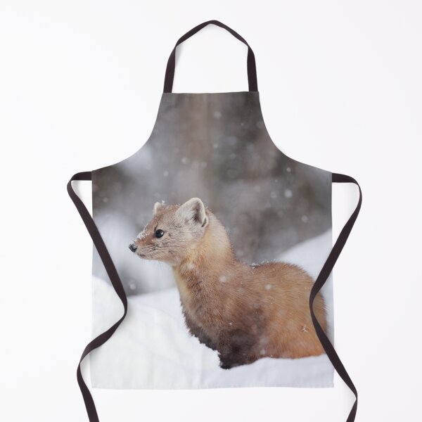 Item preview, American Marten designed and sold by mlorenz.