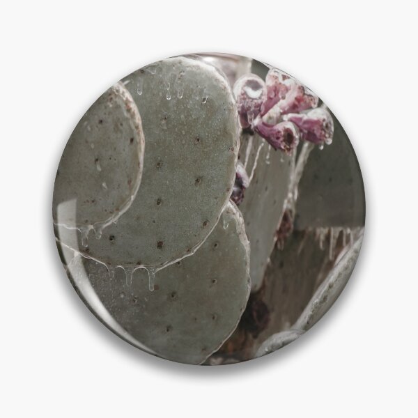 Item preview, Frozen Winter Icy Cactus Blooms designed and sold by JLPhotographer.