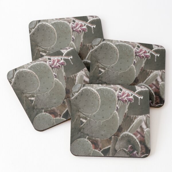 Item preview, Frozen Winter Icy Cactus Blooms designed and sold by JLPhotographer.