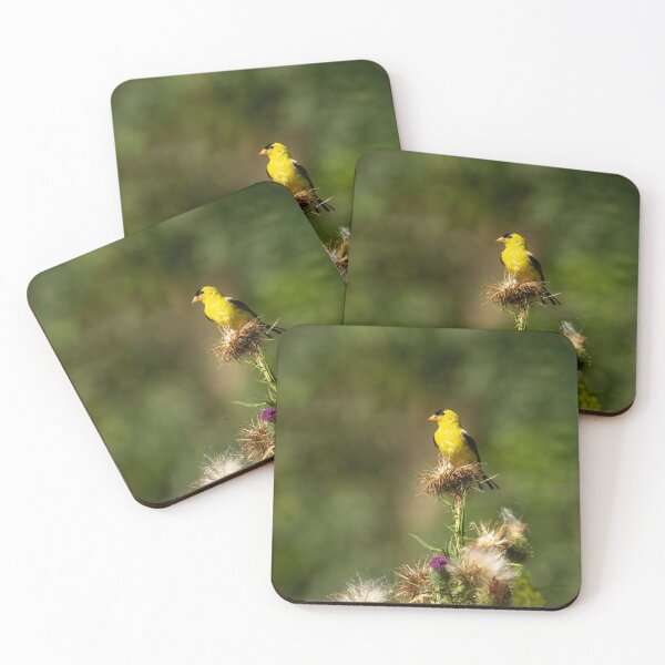 Item preview, American Gold Finch 2013-5 designed and sold by Thomasyoung.