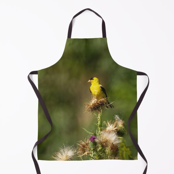 Item preview, American Gold Finch 2013-5 designed and sold by Thomasyoung.