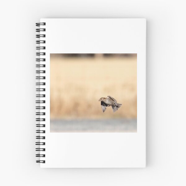 Item preview, Sparrow designed and sold by terryhewitt.