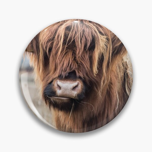 Item preview, Highland Cow Portrait designed and sold by Amy Brinkman.
