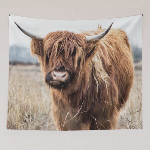Item preview, Highland Cow Portrait designed and sold by Amy Brinkman.