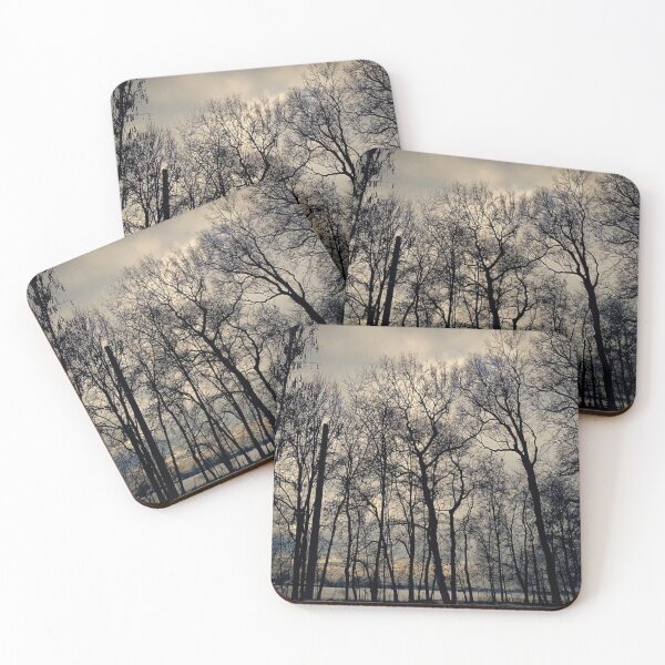 Item preview, Forest Mood / photography by Livia Leoveanu designed and sold by Livia  Leoveanu.