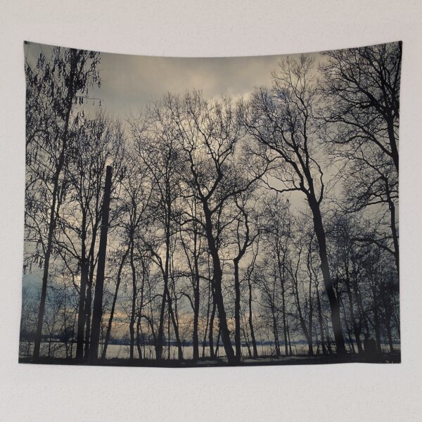 Item preview, Forest Mood / photography by Livia Leoveanu designed and sold by Livia  Leoveanu.