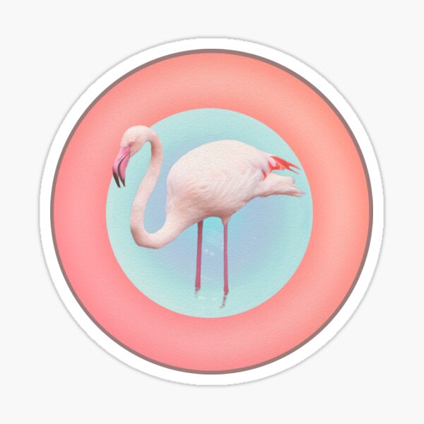 Pink Flamingo in a Pool Sticker
