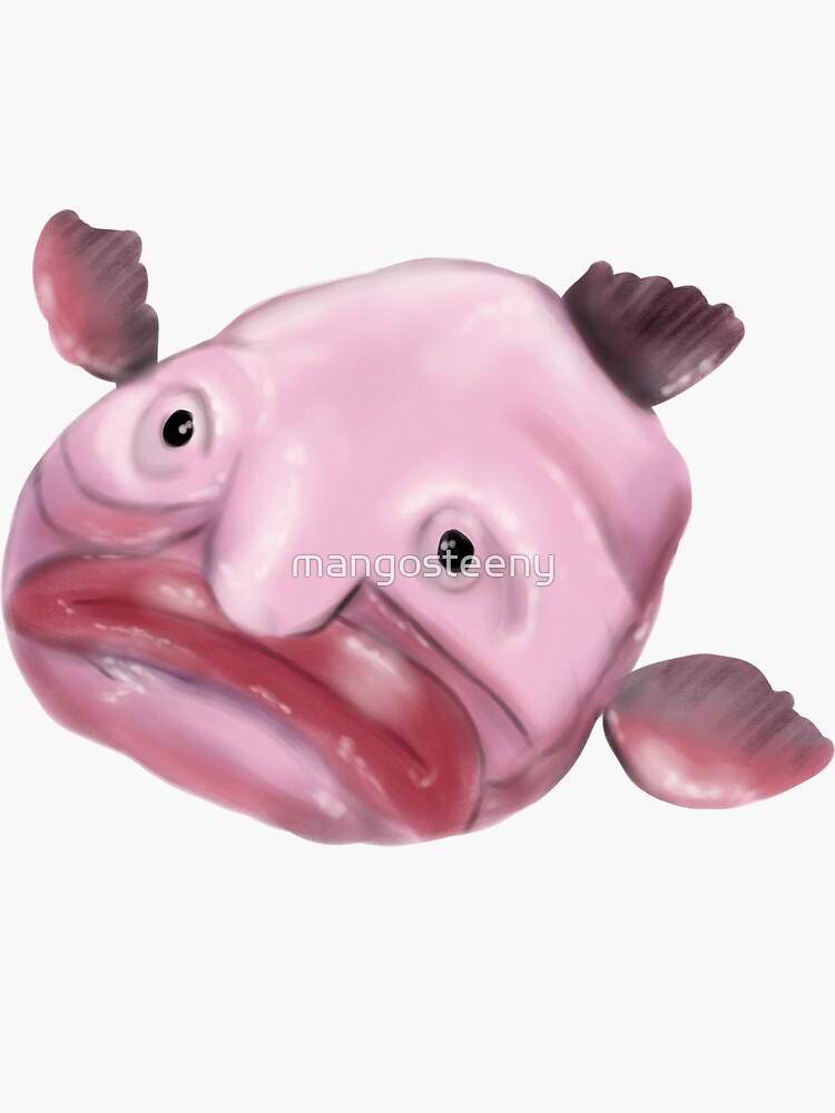 blobby the perpetually sad blobfish | Sticker