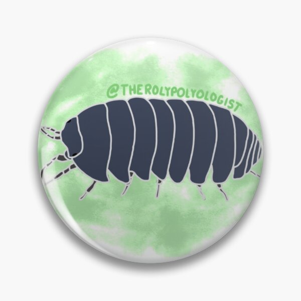 Item preview, Round Common Isopod with Green Background designed and sold by rolypolyologist.