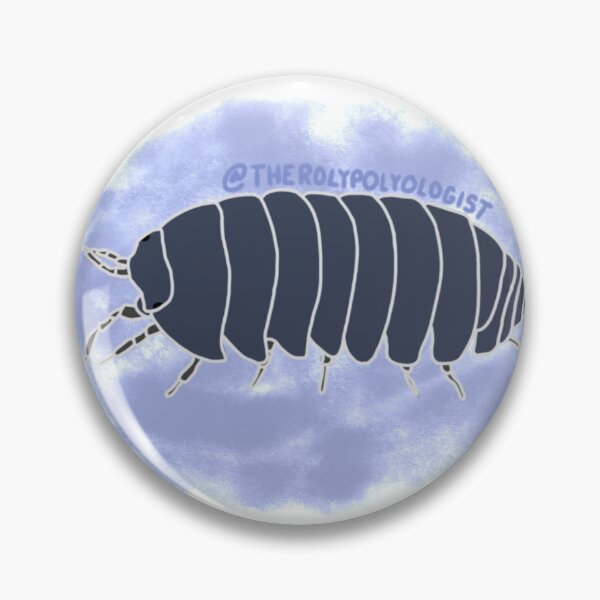 Item preview, Round Common Isopod with Blue Background designed and sold by rolypolyologist.