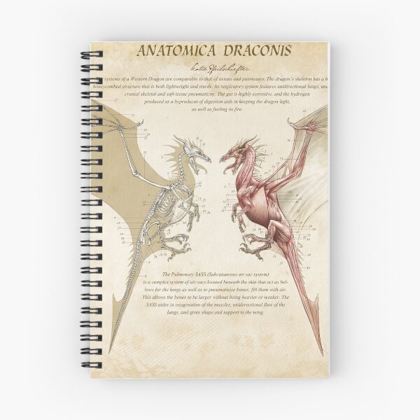 Item preview, Anatomica Dragon designed and sold by Ares286.