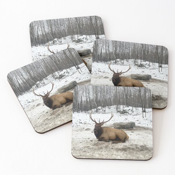 Item preview, Wild life designed and sold by ByKarli.