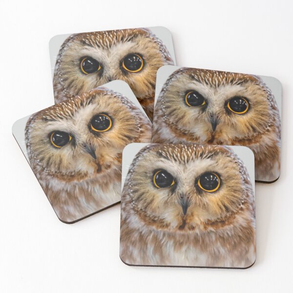Item preview, Closeup of a Cute Northern Saw Whet Owl designed and sold by walkswithnature.