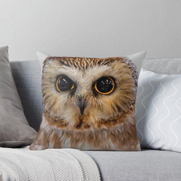 Item preview, Closeup of a Cute Northern Saw Whet Owl designed and sold by walkswithnature.