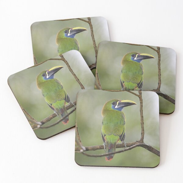 Item preview, Toucanet designed and sold by mlorenz.