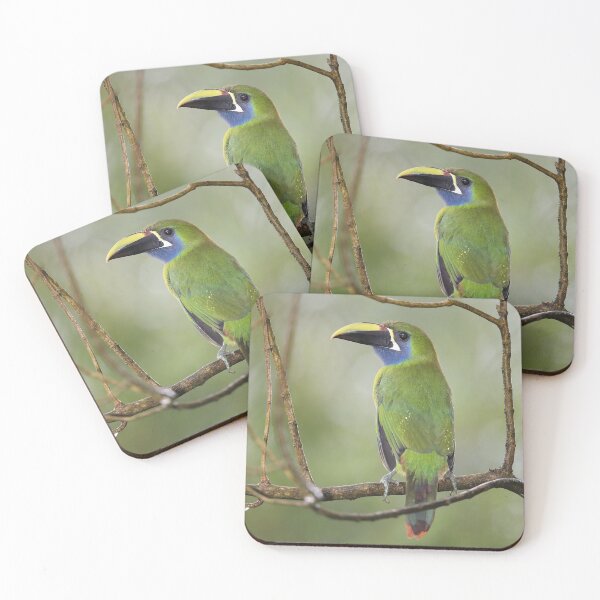 Item preview, Toucanet designed and sold by mlorenz.