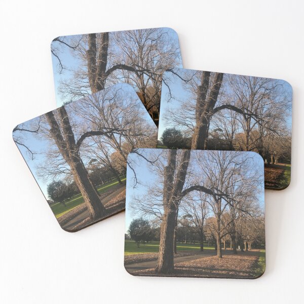 Item preview, Photo of trees in Fawnker Park, Melbourne designed and sold by MelbourneGarden.