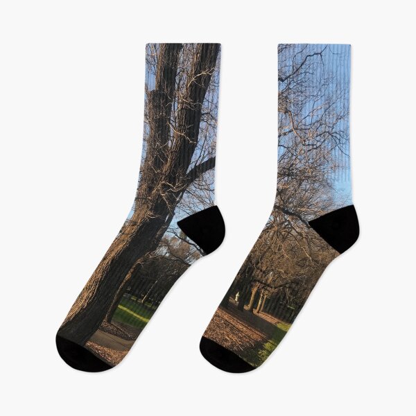 Item preview, Photo of trees in Fawnker Park, Melbourne designed and sold by MelbourneGarden.