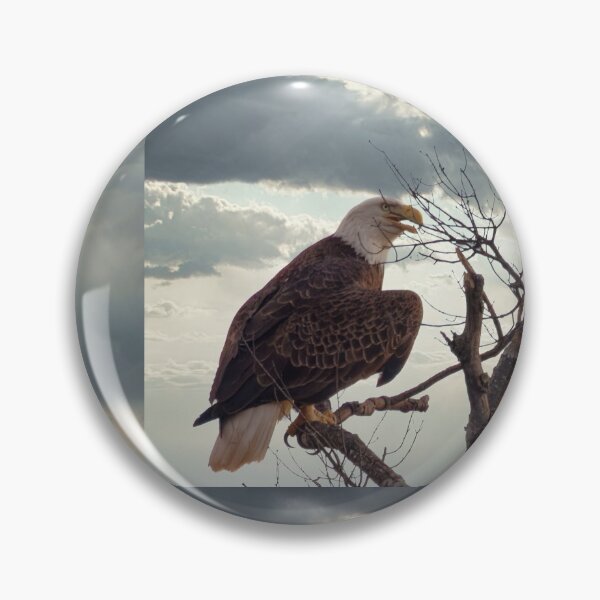 Item preview, Bald Eagle designed and sold by KDartisticeye.