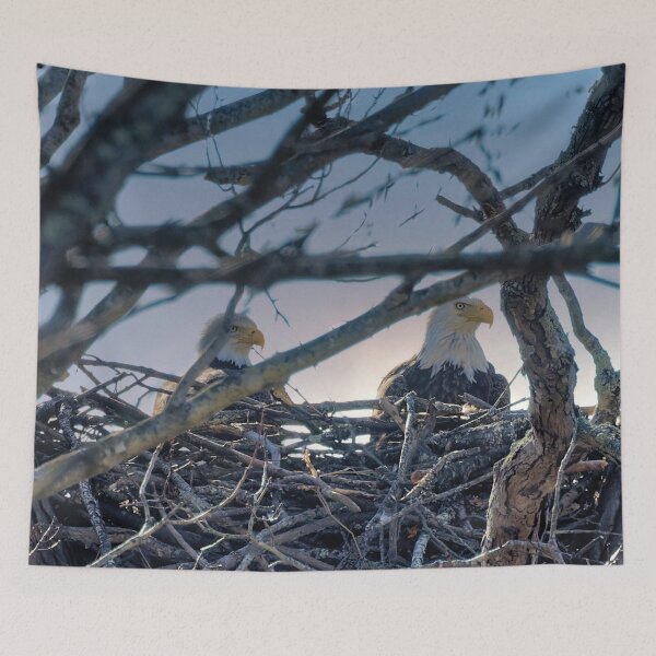 Item preview, Piscataway Park Eagle Pair designed and sold by KDartisticeye.