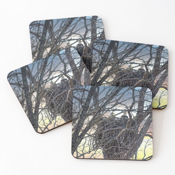 Item preview, Piscataway Park Eagle Pair designed and sold by KDartisticeye.