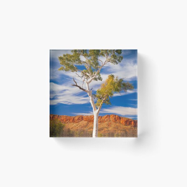 Item preview, Lonely tree, McDonnell mountain range, Northern Territory, Australia designed and sold by khals1.
