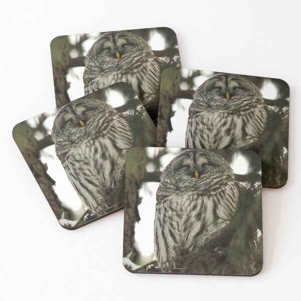 Item preview, Portrait of a barred owl designed and sold by photobypj.